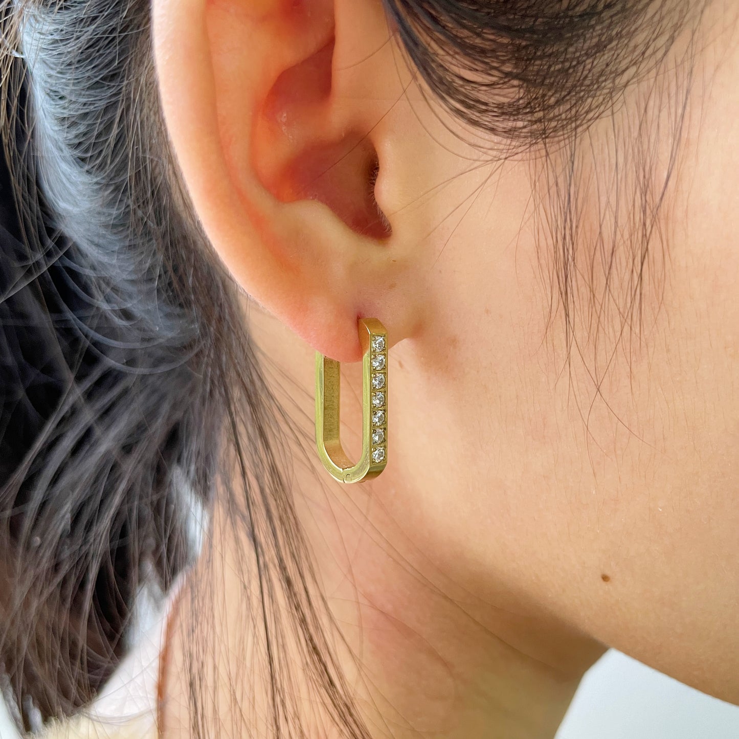 RFB0154 Earrings