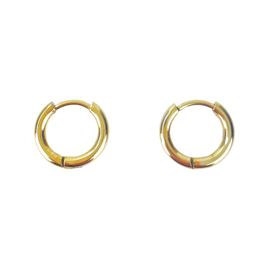 RFB0191 small hoop earrings